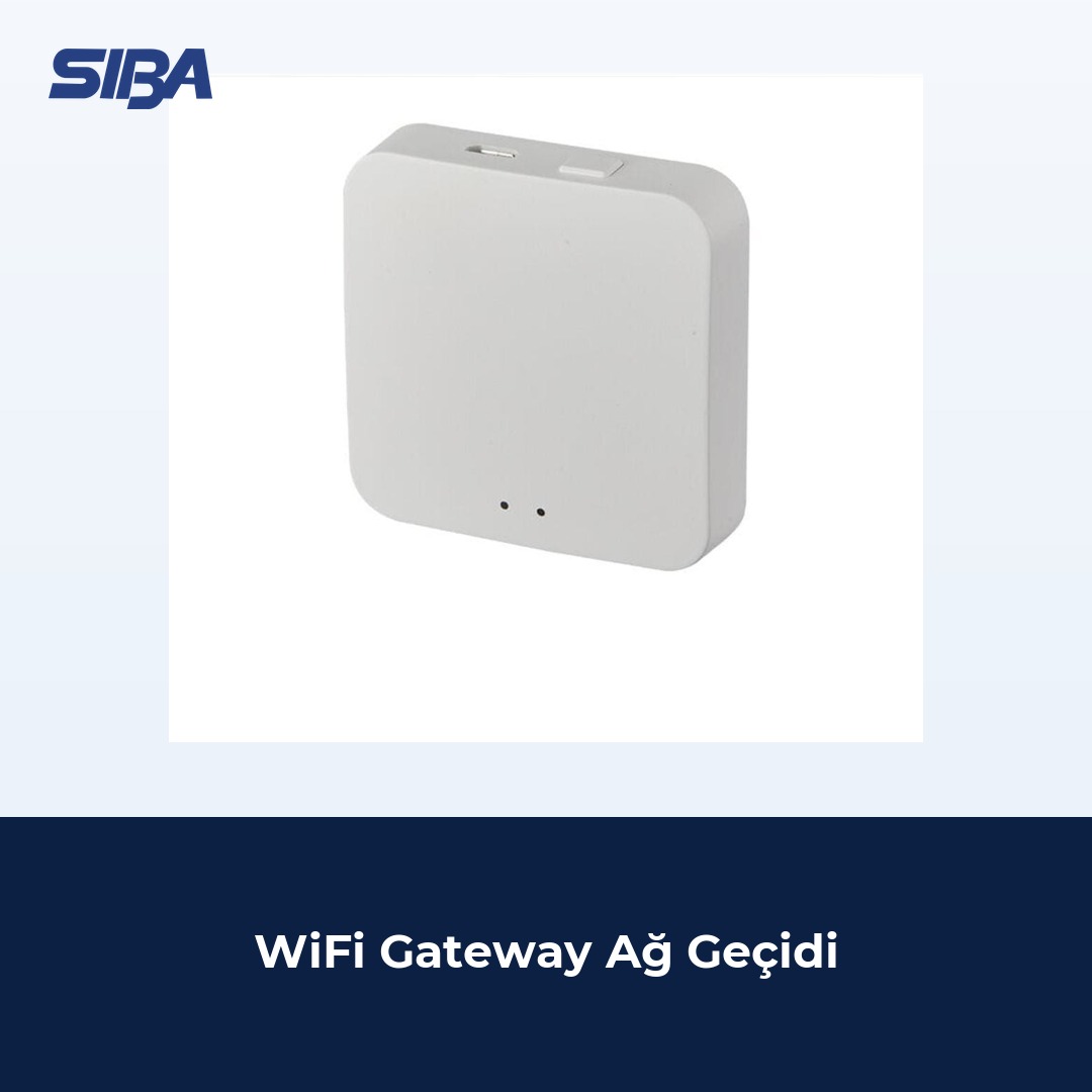 WiFi Gateway Ağ Geçidi
